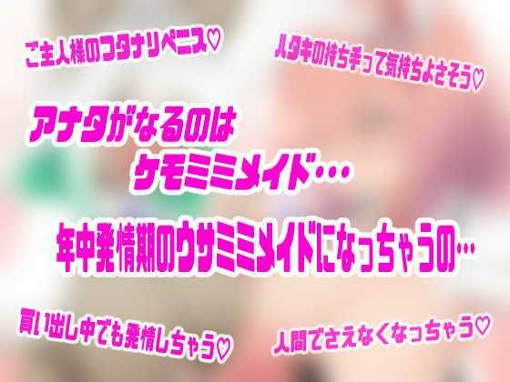 今日からアナタはケモメイド♪〜発情ウサみみ娘に変えられて、獣人お嬢様の性処理メイドへ堕ちていく〜【強●発情＆甘とろメス堕ち体験トランスボイス】 サンプル1ページ目