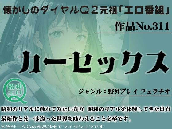 作品No.311 カーセックス サンプル1ページ目