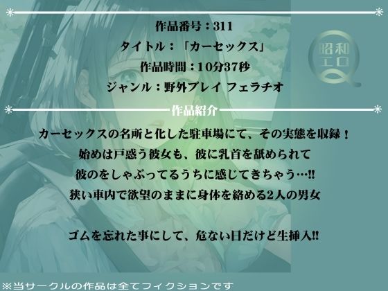 作品No.311 カーセックス サンプル2ページ目