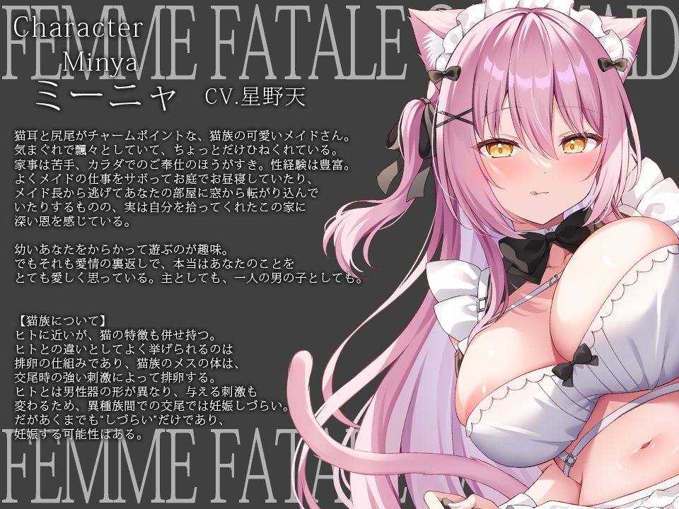 【だらあまおねショタ3時間超♪】小悪魔猫メイドさんとだらだらであまあまな筆おろしえっち〜悪戯から始まる、あなたより少しオトナなメイドさんとの秘密の関係〜 サンプル3ページ目