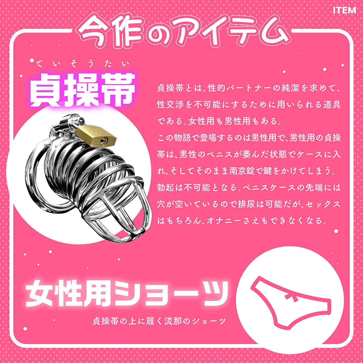【射精管理×貞操帯×貢ぎマゾ】おちんぽ管理「貢ぎマゾ成長日記」〜外出時は貞操帯と女の子のショーツ着用///〜 サンプル5ページ目