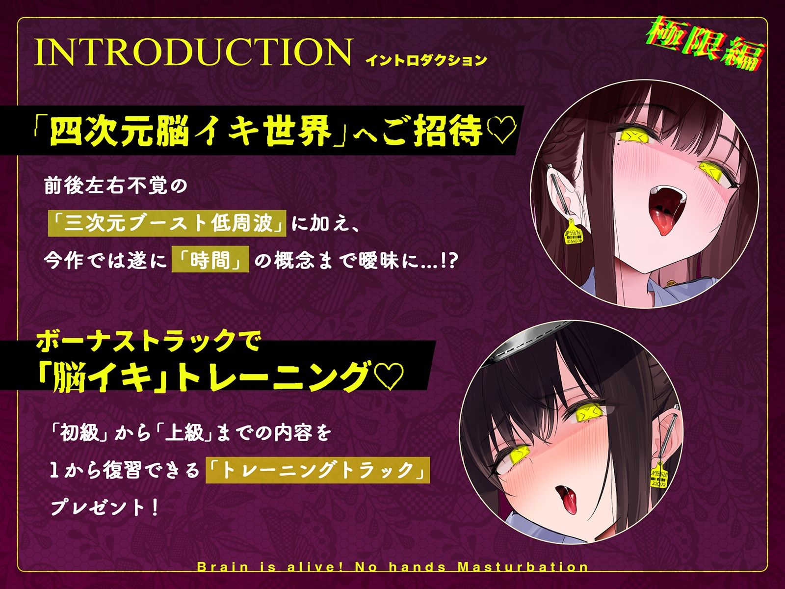 【初心者購入禁止】誰でも出来る！決定版「はじめての」脳イキ！ノーハンドオナニー極限編 サンプル2ページ目