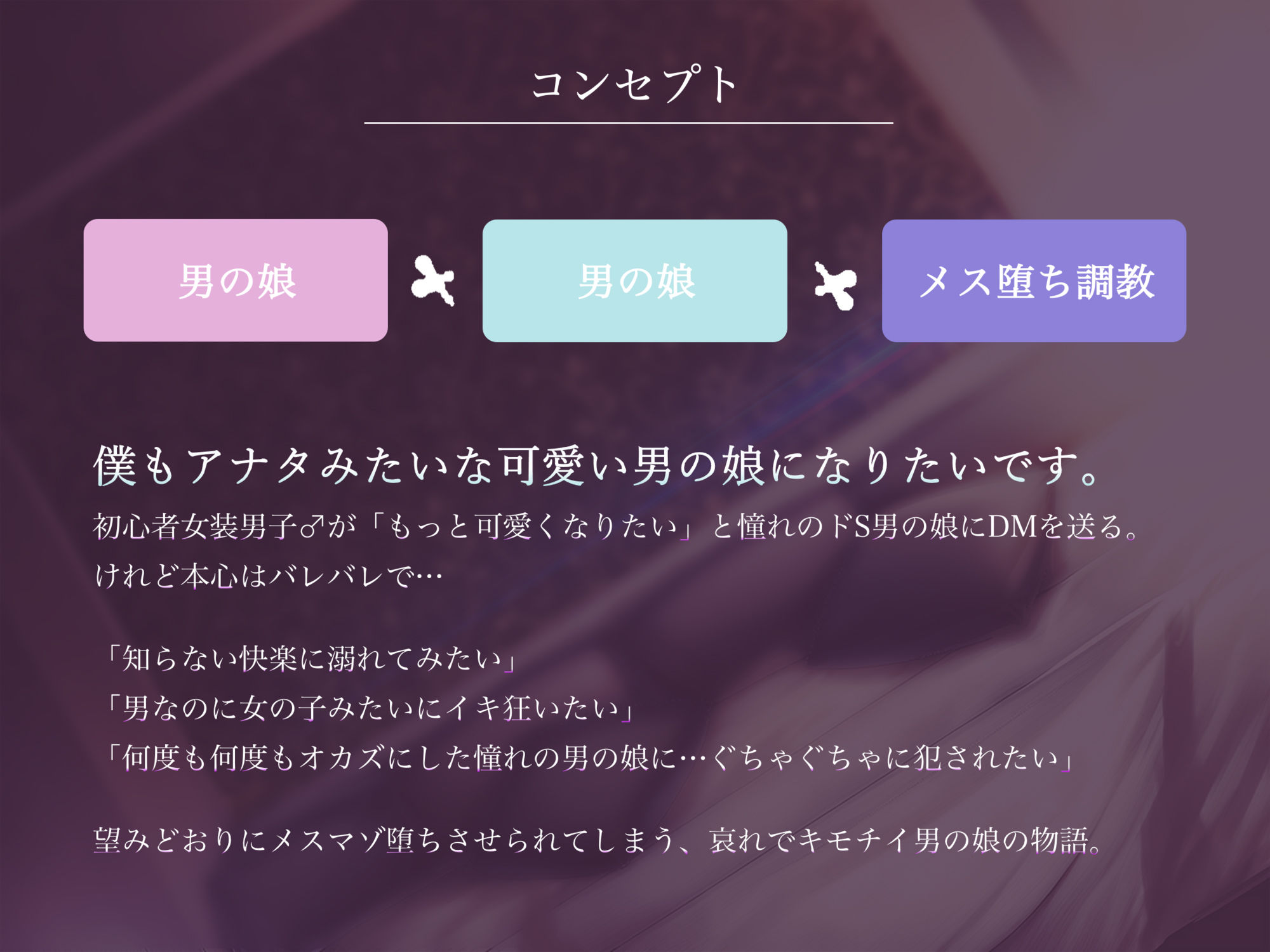 男の娘志願者のためのメス堕ちアクメ調教…SNSで有名なドS男の娘にメス快楽を徹底的に分からされる初心者女装男子♂ サンプル2ページ目
