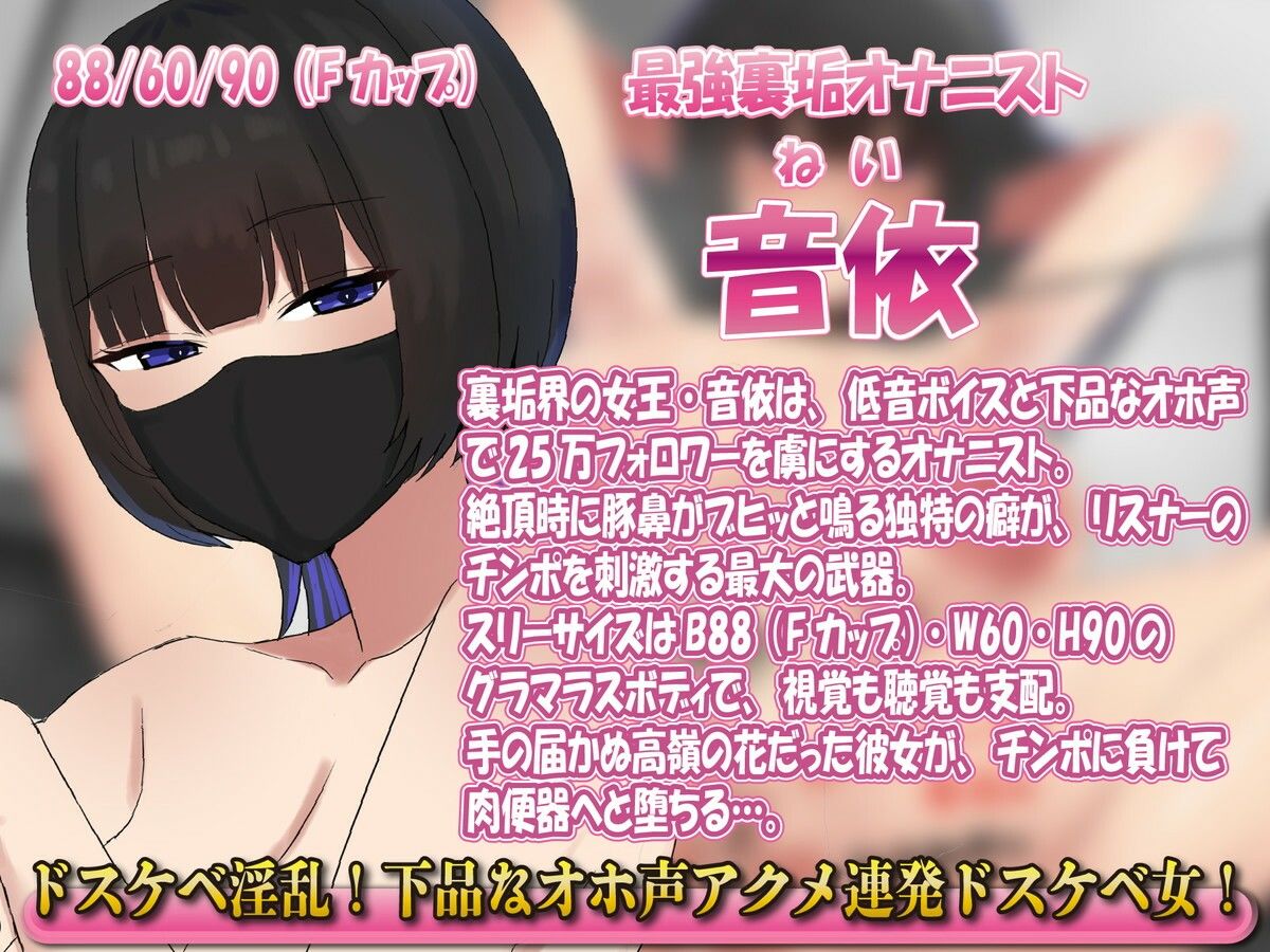 【豚鼻ブヒ堕ち】フォロワー脳破壊！手の届かぬオナニスト裏垢女子が突然オフパコ動画公開！調教交尾肉便器堕ち サンプル3ページ目