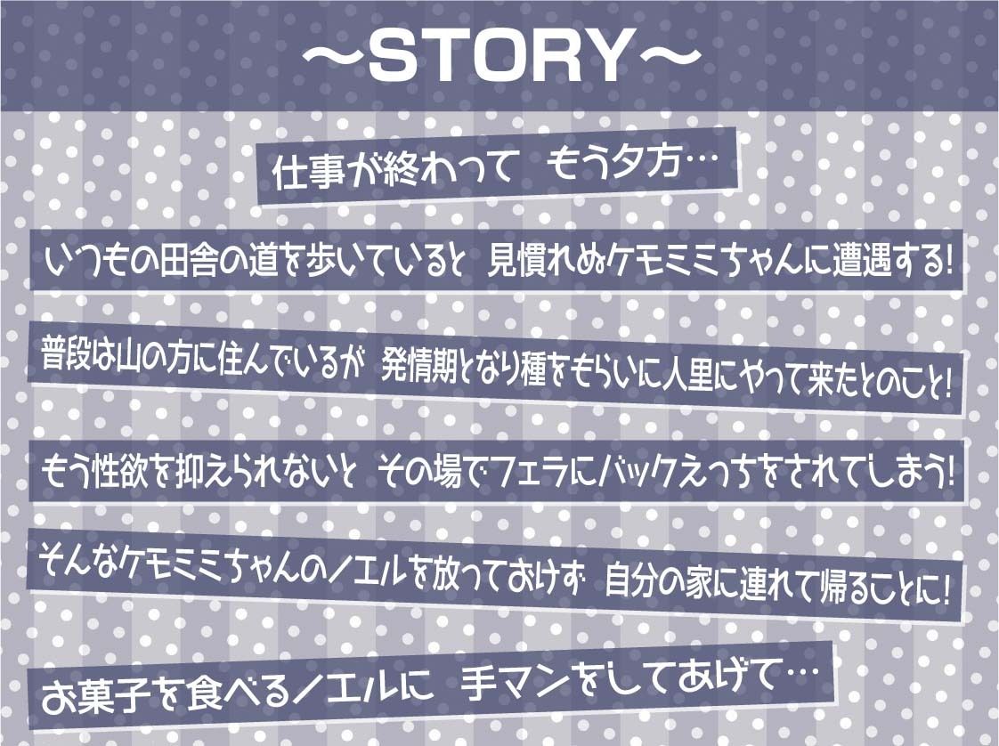 無口ケモミミちゃんと繁殖交尾【フォーリーサウンド】 サンプル3ページ目