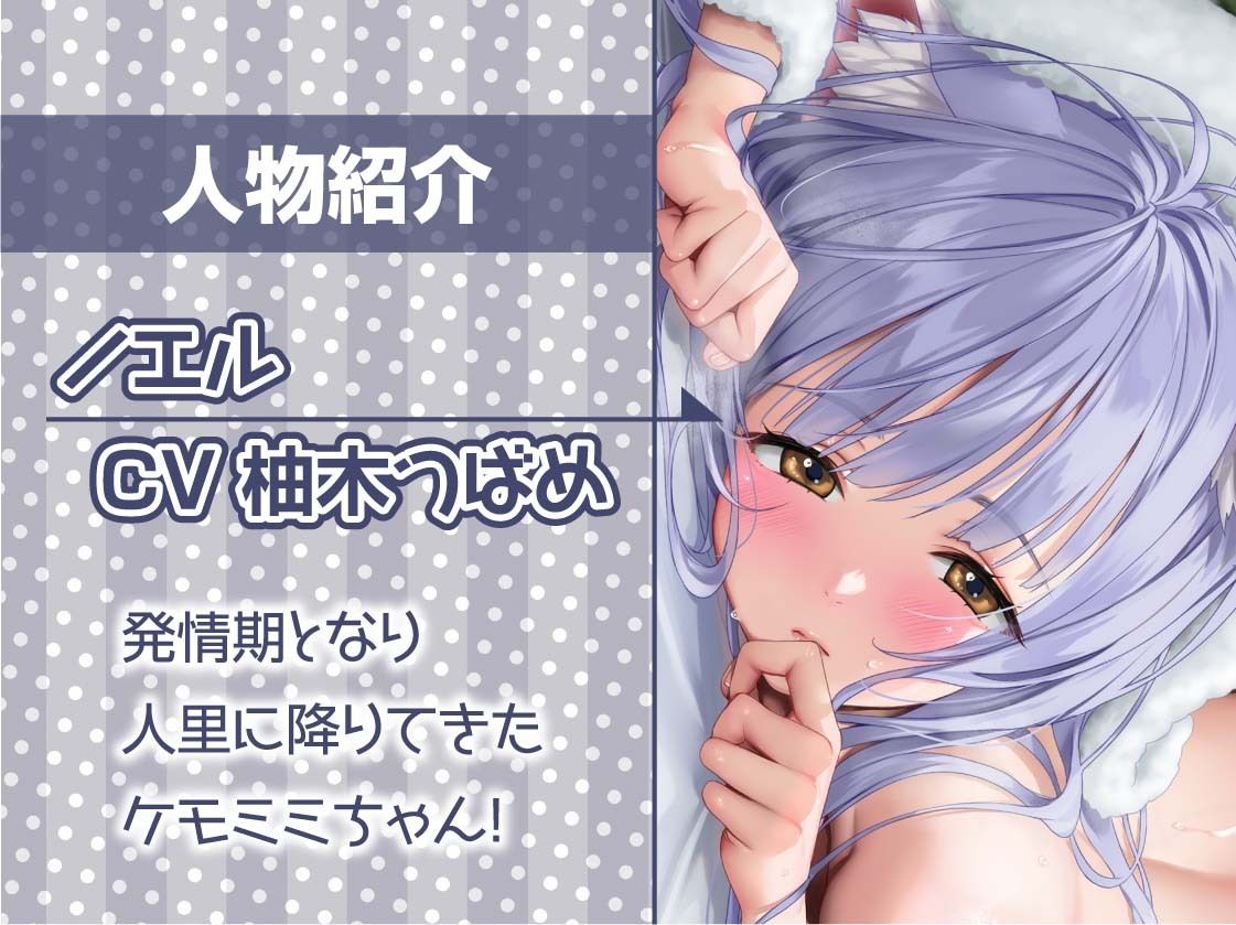 無口ケモミミちゃんと繁殖交尾【フォーリーサウンド】 サンプル5ページ目