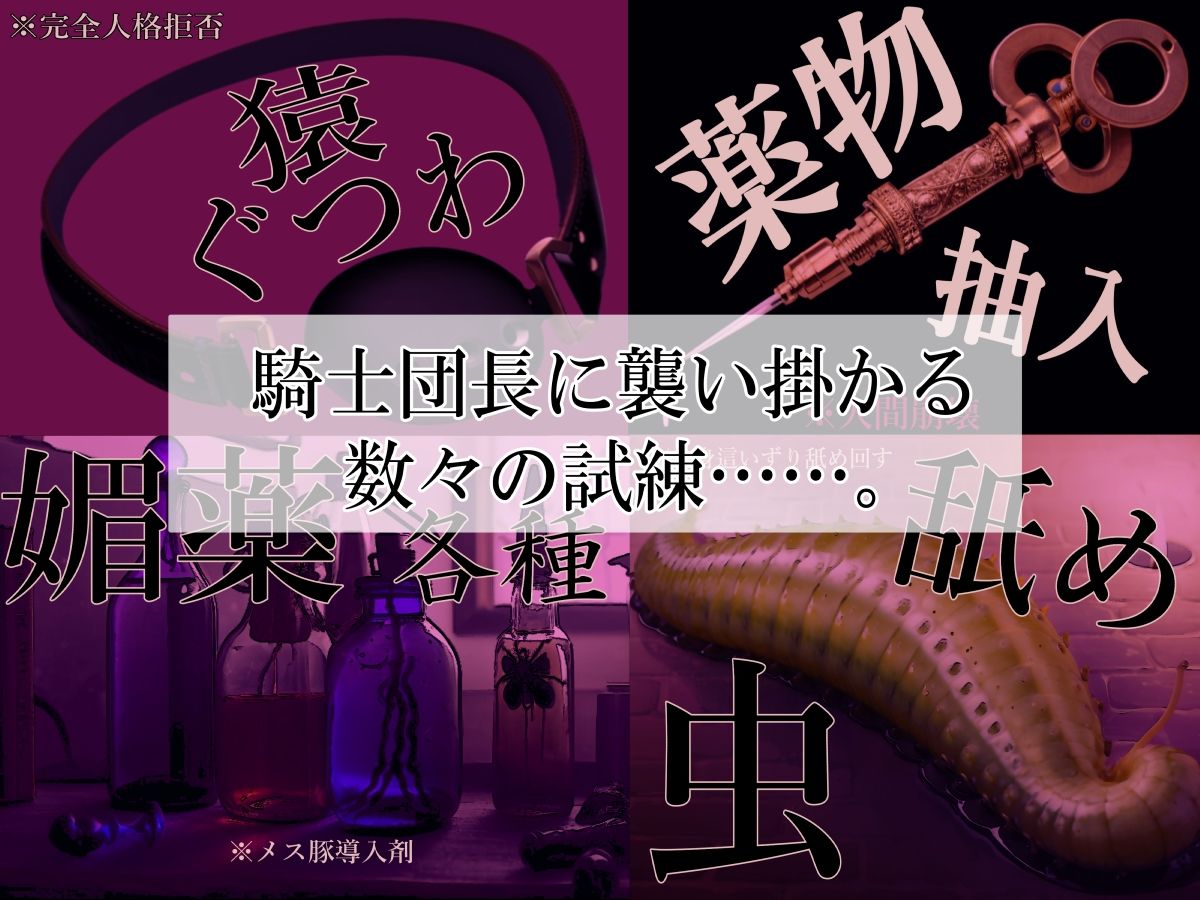 高潔女騎士団長、無様なる陥落！ 男前→メス豚化ッ！！ サンプル3ページ目