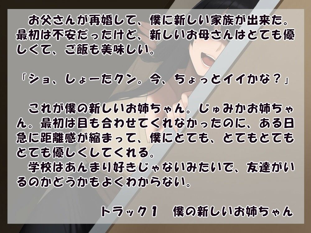 お姉ちゃんはだいぶ危ない サンプル1ページ目