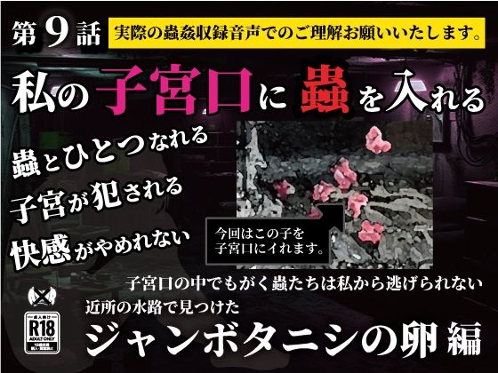 私の子宮口の中に蟲を入れる 第9話 近所の水路で見つけたジャンボタニシの卵編