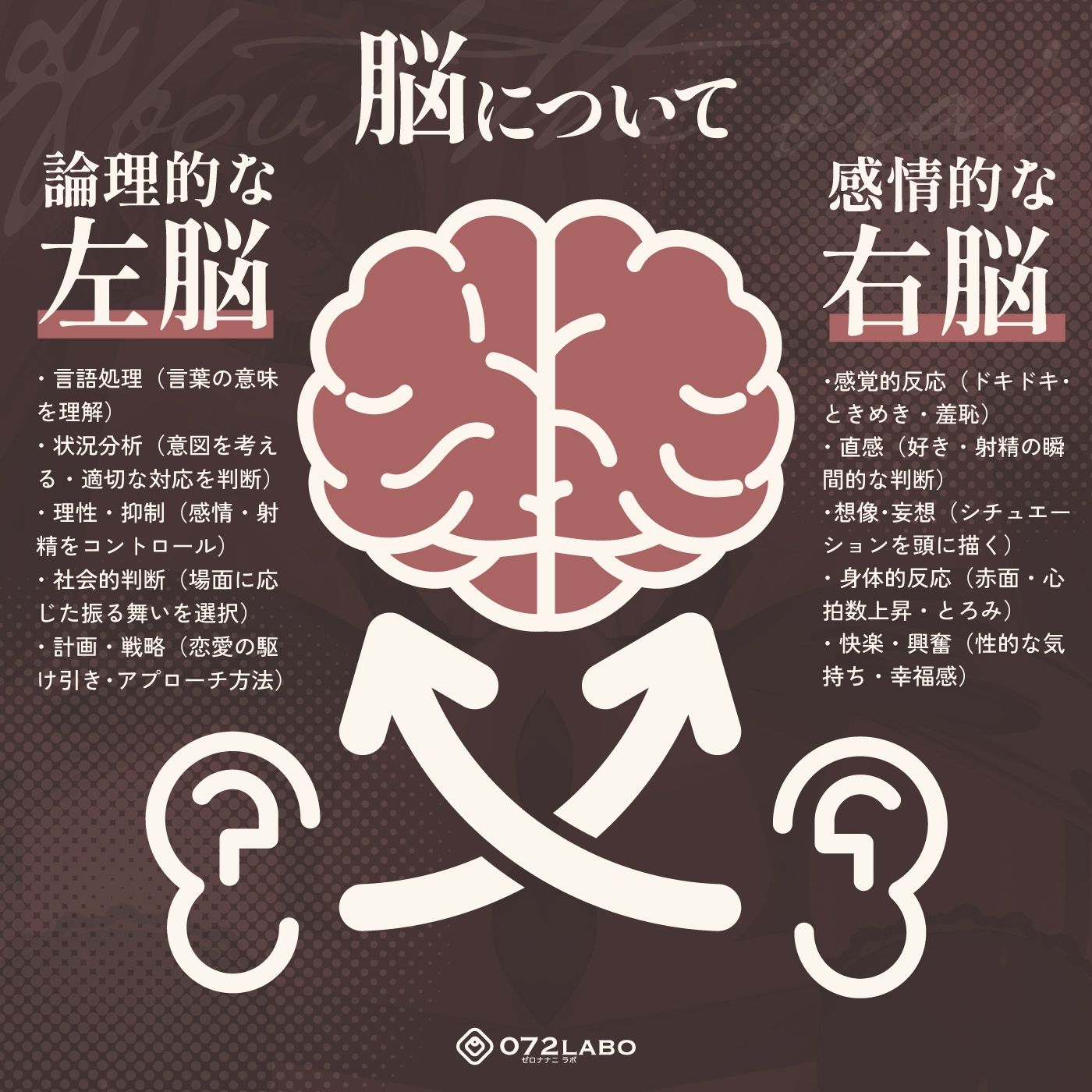 【脳バグ】命令の右耳とドスケベ本心が聞こえる左耳「右耳左耳右脳左脳」〜とても厳しい射精管理官★低音ボイスお姉さんの本音〜【射精管理官の本音】 サンプル3ページ目