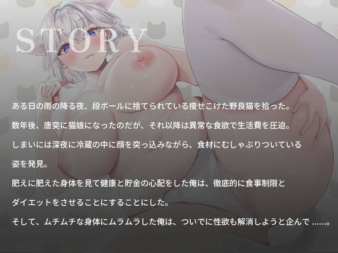 【ぽっちゃり】公園に捨てられていた白猫娘ちゃんがむちむちボディになりすぎたので、セックスダイエットで痩せさせてみた話【バイノーラル/巨乳】 サンプル1ページ目