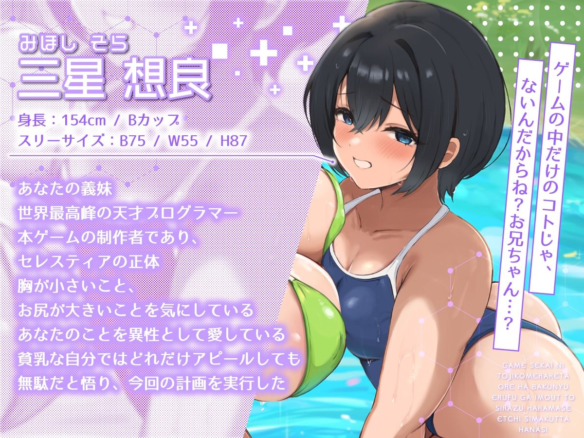 【2時間40分】ゲーム世界に閉じ込められた俺は爆乳エルフが妹と知らず孕ませエッチしまくった話【バイノーラル/兄妹/ファンタジー】 サンプル4ページ目
