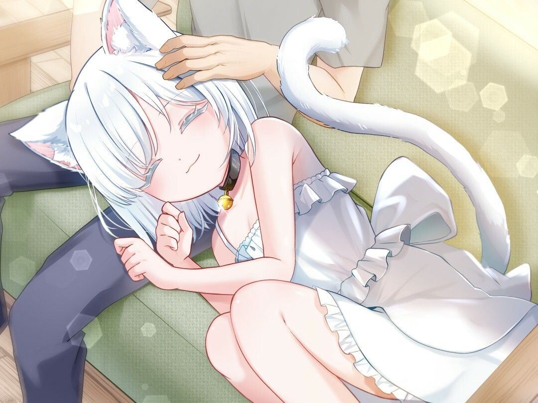 【1時間30分/バイノーラル】しろねこ娘のバニラちゃんは命の恩人のあなたを癒したい【癒し/けもみみ】 サンプル4ページ目