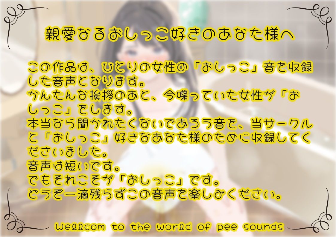 【おしっこ実演】Pee.153姫宮ぬく美のおしっこ録れるもん。〜トイレで立っておしっこ編〜 サンプル2ページ目