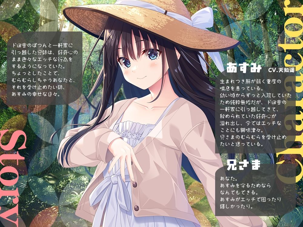 兄さまのむらむらした気持ちを全部受け止めたい妹 サンプル2ページ目