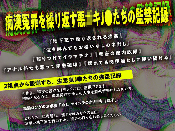 痴●冤罪○○2人組を制裁する【ダブルヘッドフォーリー】 サンプル1ページ目