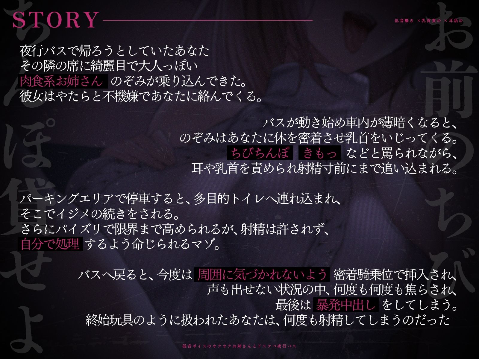 【低音囁き×乳首責め×耳舐め】「おい、お前のちびちんぽ貸せよ」低音ボイスのオラオラお姉さんとドスケベ夜行バス【CV沢野ぽぷら】 サンプル2ページ目