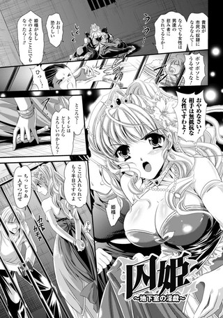 囚姫 地下室の淫戯（単話）
