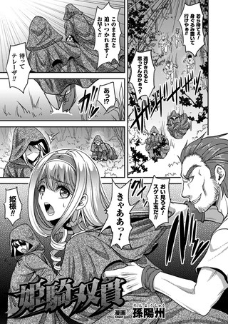 姫騎双貫（単話）