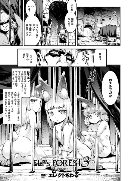 ELF’s FOREST【単話】（単話）