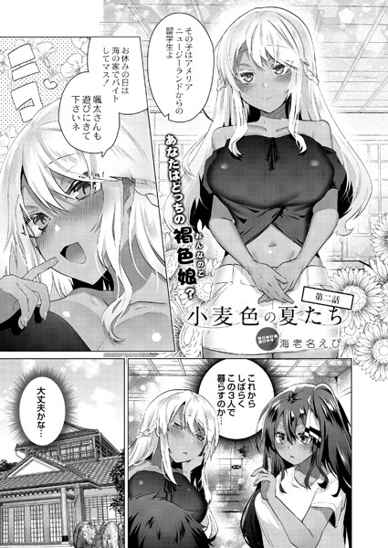 小麦色の夏たち 第二話