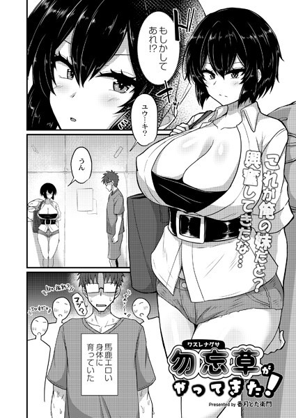 勿忘草がやってきた！（単話）