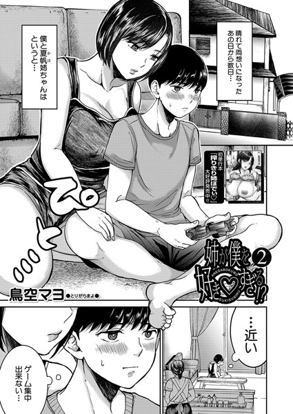 姉が僕を好き▽すぎる！？2 （鳥空マヨ）