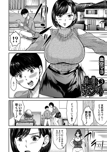 姉が僕を好き▽すぎる！？3 （鳥空マヨ）