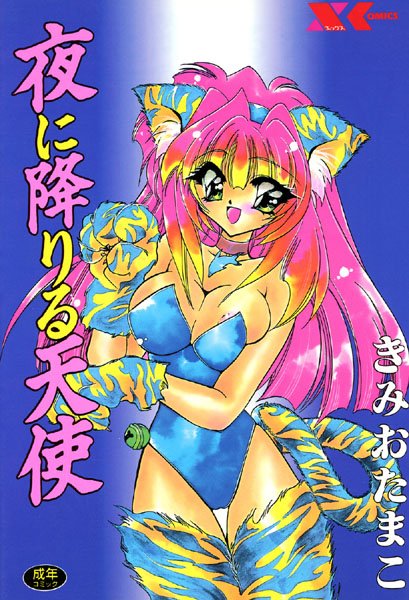 夜に降りる天使