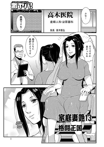 家庭妻艶（13）