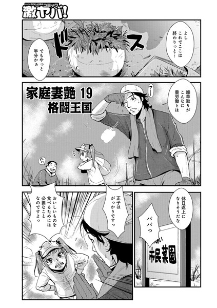 家庭妻艶 （19）