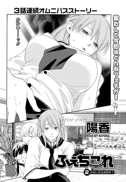 ふぇちこれ（2）