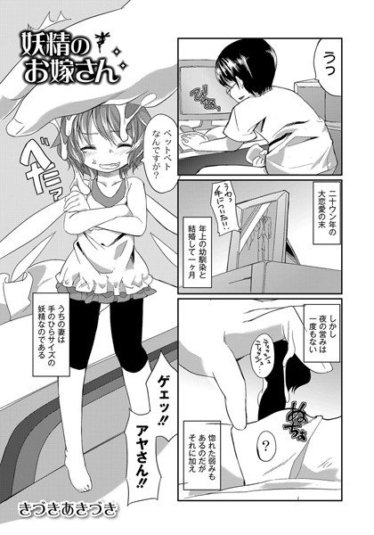 妖精のお嫁さん