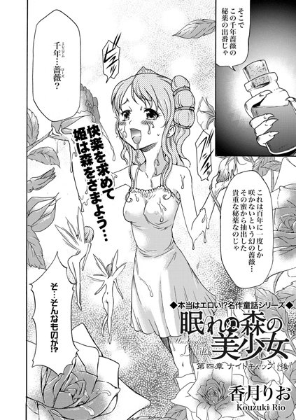 眠れぬ森の美少女（4）