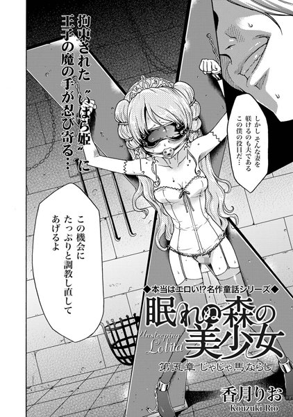 眠れぬ森の美少女（5）