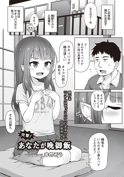 突撃！ あなたが晩御飯