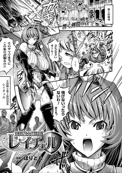 王国騎士師団長 レイチェル（単話）