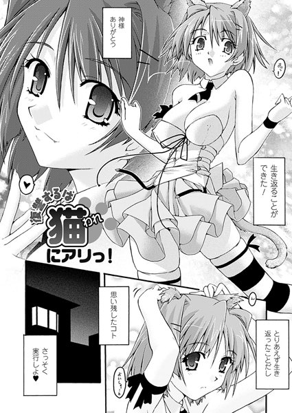 復讐するは猫にアリっ！【単話】