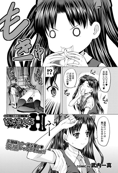 とらいあんぐるH 中編