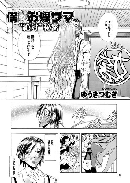 僕のお嬢サマ （2）