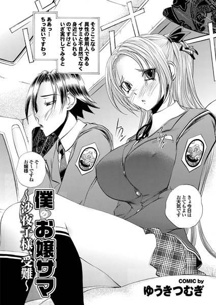 僕のお嬢サマ （3）