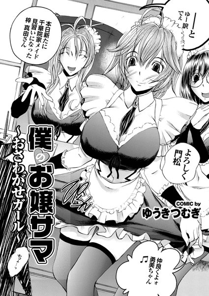 僕のお嬢サマ （4）