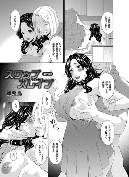 スワップスレイブ （6）