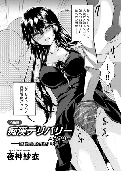 痴●デリバリー 7品目 〜声出厳禁編・羞恥背徳2倍盛り〜 中編