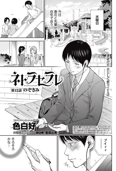 ネトラセラレ （12）