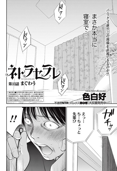 ネトラセラレ （13）