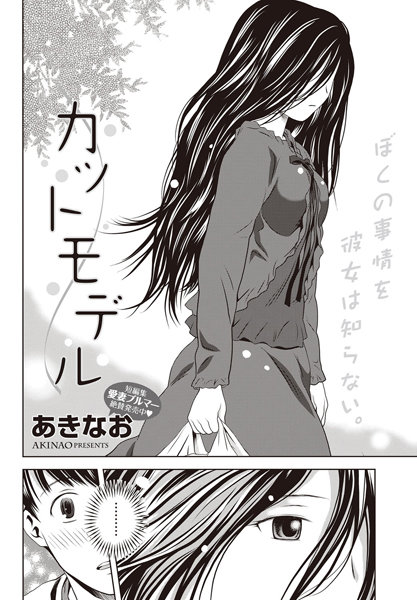 カットモデル（単話）