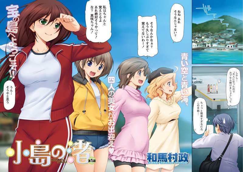 小島の渚 （1）