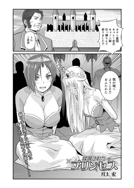 蹂躪されたプリンセス（1）