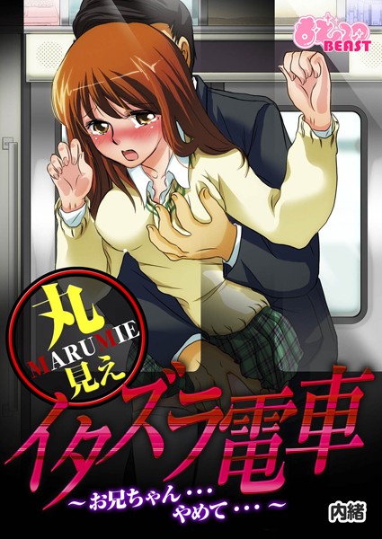 丸見えイタズラ電車